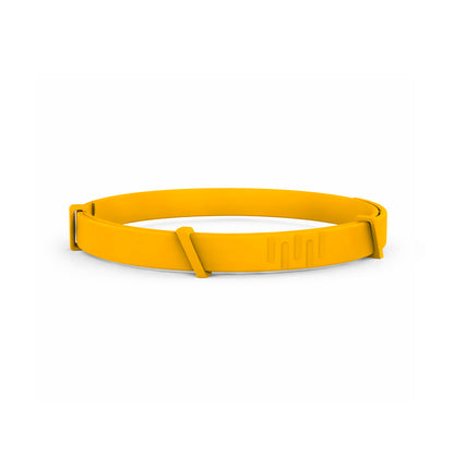 8 Months All Natural Flea and Tick Collar for Dogs