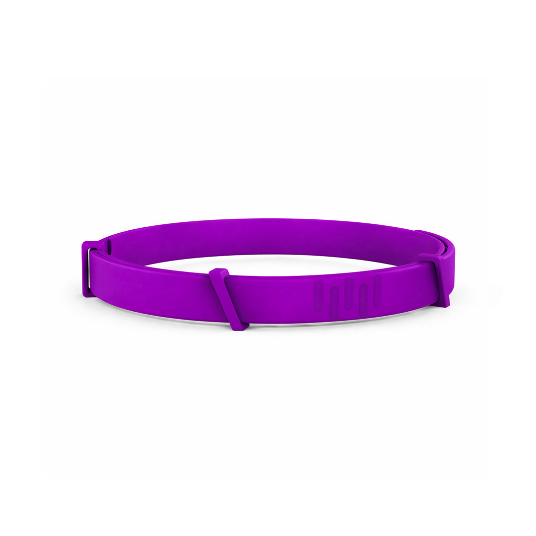 8 Months All Natural Flea and Tick Collar for Dogs