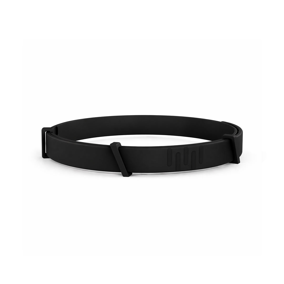 8 Months All Natural Flea and Tick Collar for Dogs