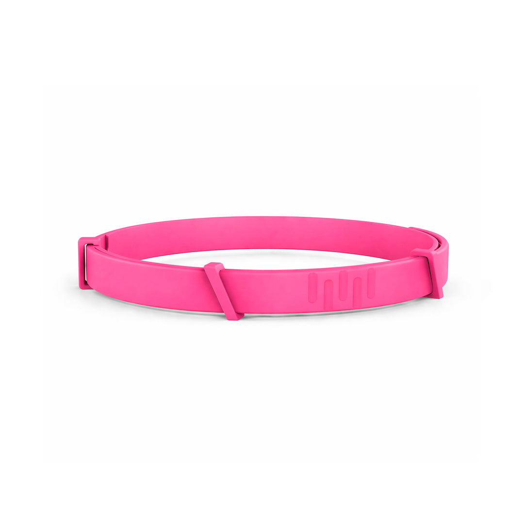 8 Months All Natural Flea and Tick Collar for Dogs
