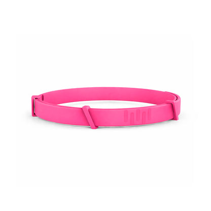 8 Months All Natural Flea and Tick Collar for Dogs