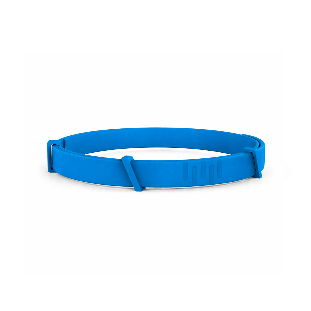 8 Months All Natural Flea and Tick Collar for Dogs