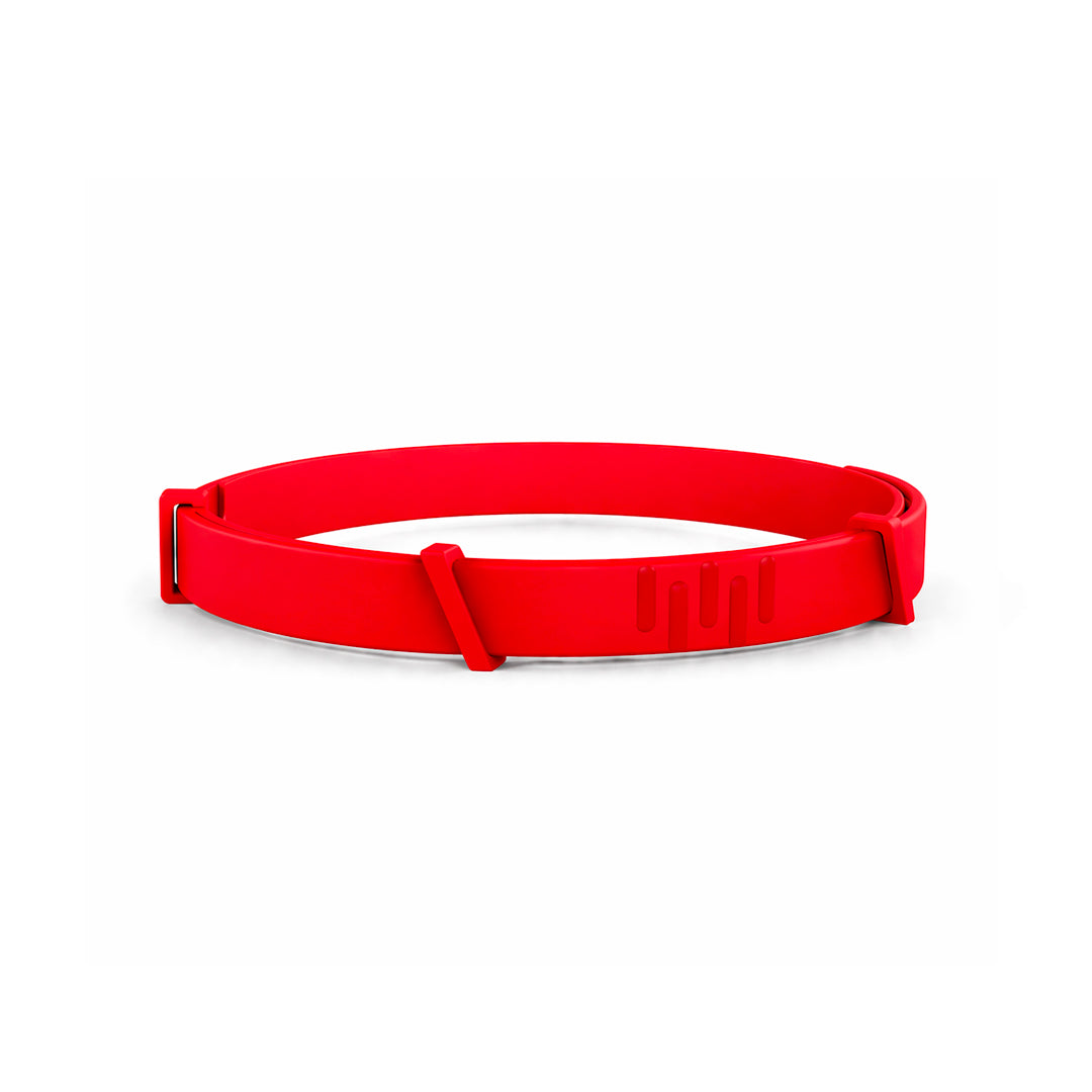 8 Months All Natural Flea and Tick Collar for Dogs