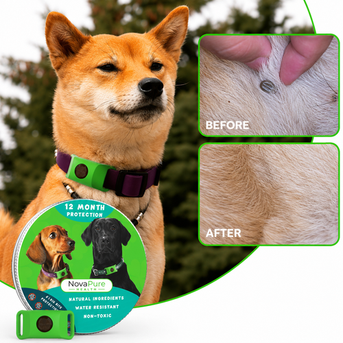 NovapureHealth™ 12 Months Flea and Tick Free for Dogs