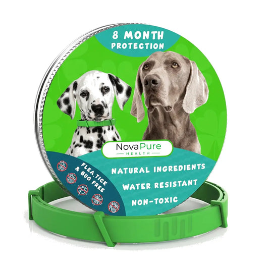 8 Months All Natural Flea and Tick Collar for Dogs