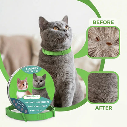 8 Months All Natural Flea and Tick Collar for Cats