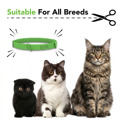 8 Months All Natural Flea and Tick Collar for Cats