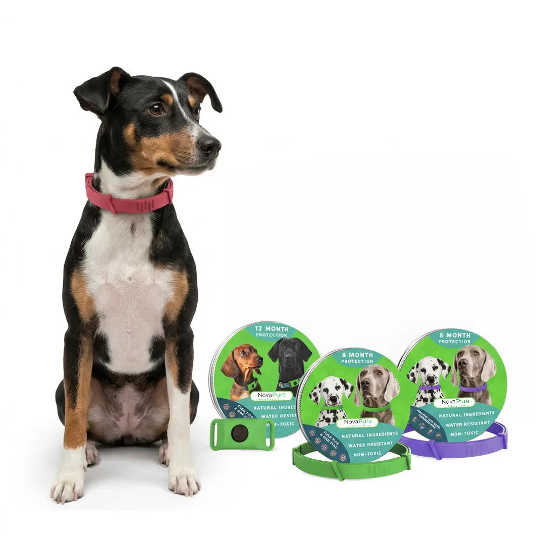 A Safer, Simpler Way to Protect Your Pet
