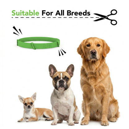 8 Months All Natural Flea and Tick Collar for Dogs