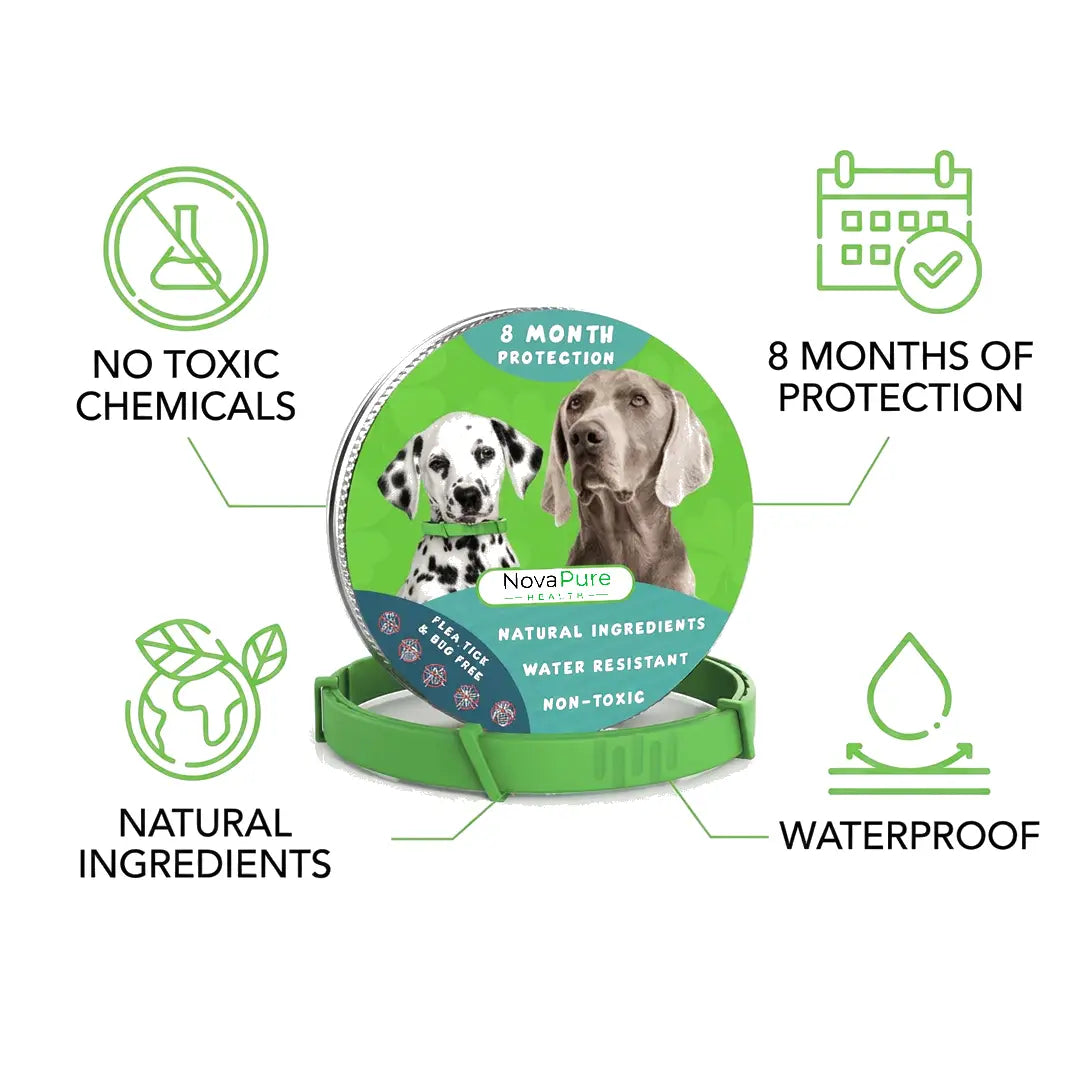 Why Pet Owners Are Switching to NovaPure